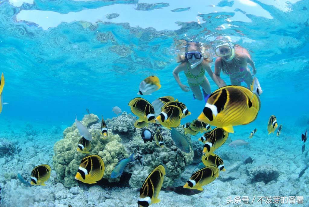 泰国旅游普吉岛,为什么中国人喜欢去泰国