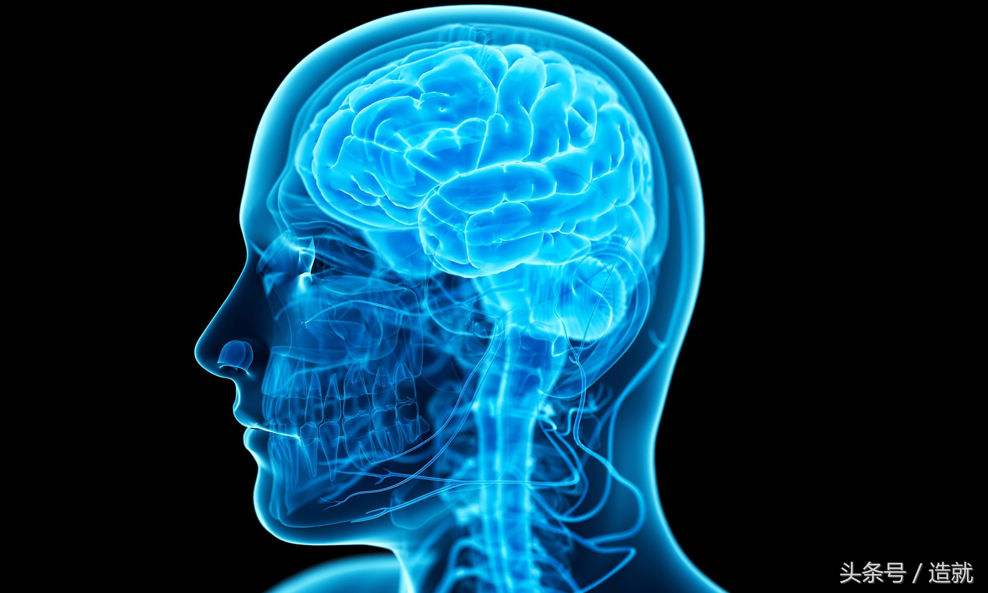 电击治疗犯罪,电击治疗