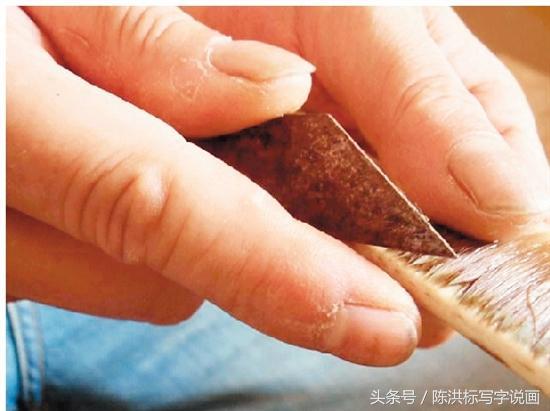 毛笔制作详细教程步骤图片,怎样制作好用的毛笔