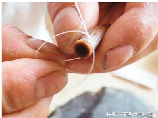 毛笔制作详细教程步骤图片,怎样制作好用的毛笔