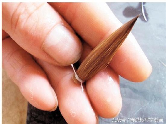 毛笔制作详细教程步骤图片,怎样制作好用的毛笔