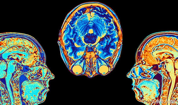 电击治疗犯罪,电击治疗