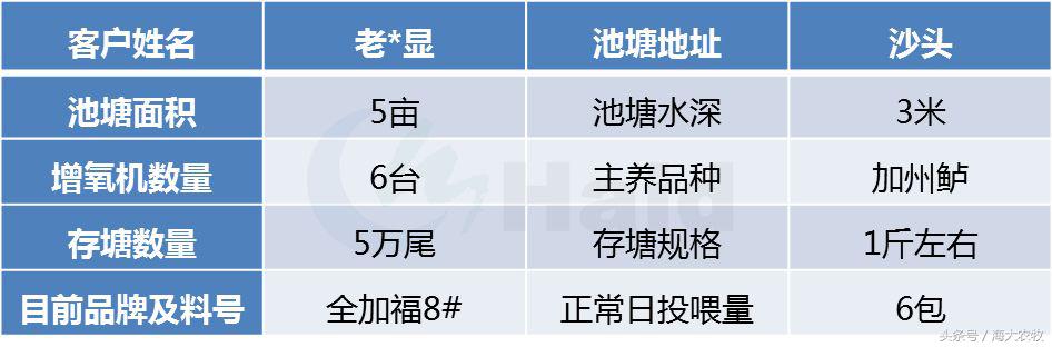 看，这就是别人家的鱼！“红润有光泽”，吃料“梆梆声”！