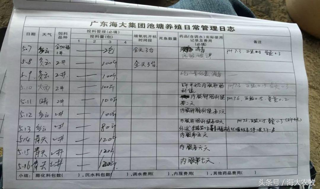 看，这就是别人家的鱼！“红润有光泽”，吃料“梆梆声”！