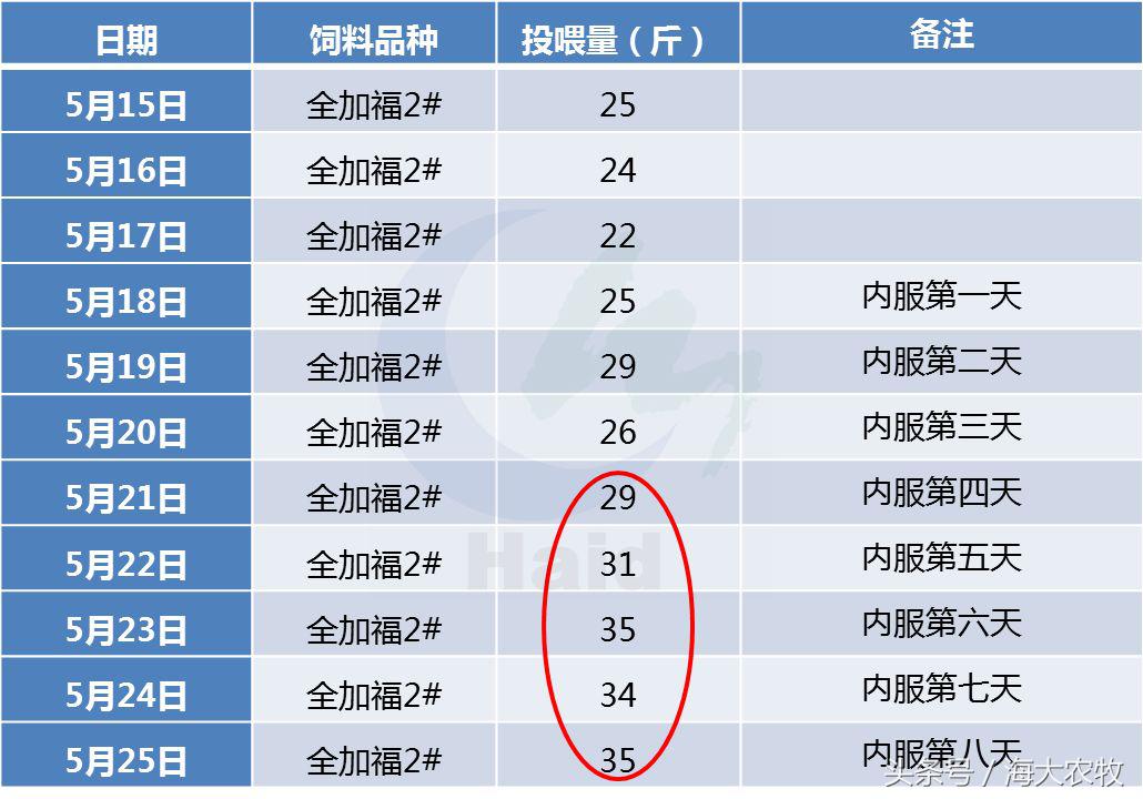 看，这就是别人家的鱼！“红润有光泽”，吃料“梆梆声”！