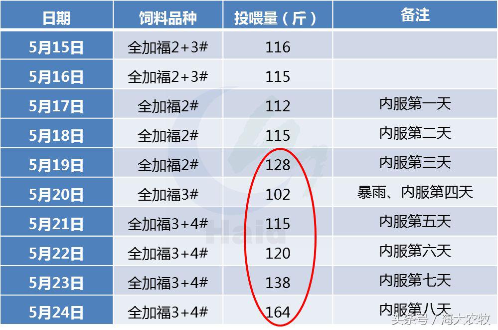看，这就是别人家的鱼！“红润有光泽”，吃料“梆梆声”！