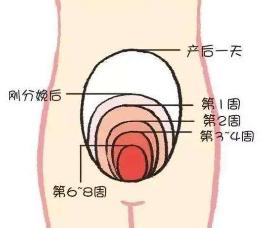 产后怎么尽快排干净恶露?6个方法促进子宫恢复,尽快走向健康