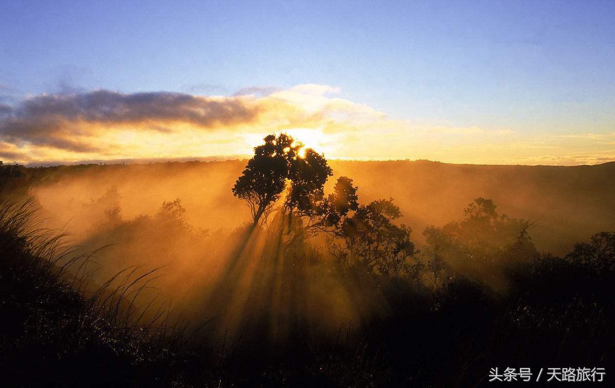 世界“最贵”最难进的公园，门票近万元仍一票难求，公园竟在非洲！