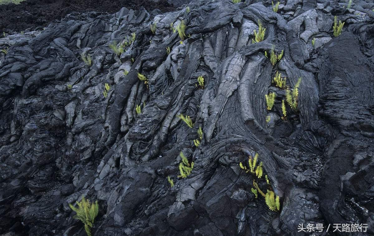 世界“最贵”最难进的公园，门票近万元仍一票难求，公园竟在非洲！