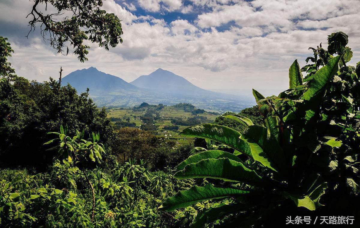 世界“最贵”最难进的公园，门票近万元仍一票难求，公园竟在非洲！