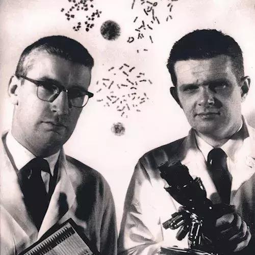 神药疗效真相揭秘,神药为什么那么贵