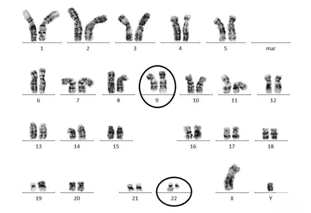 神药疗效真相揭秘,神药为什么那么贵
