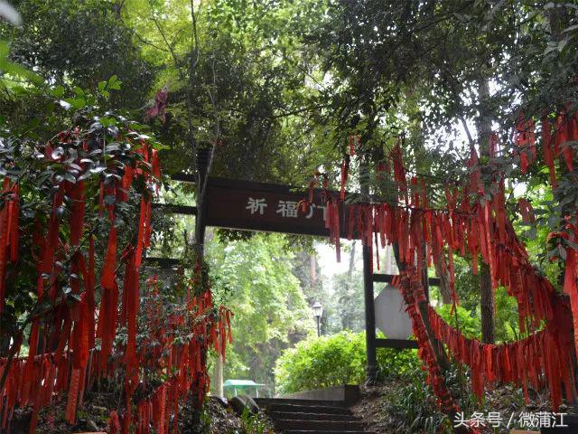 雨后,来蒲江石象湖觅一片“阳光”