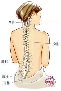 颈椎腰椎不好了看过来,腰椎不好的人看过来