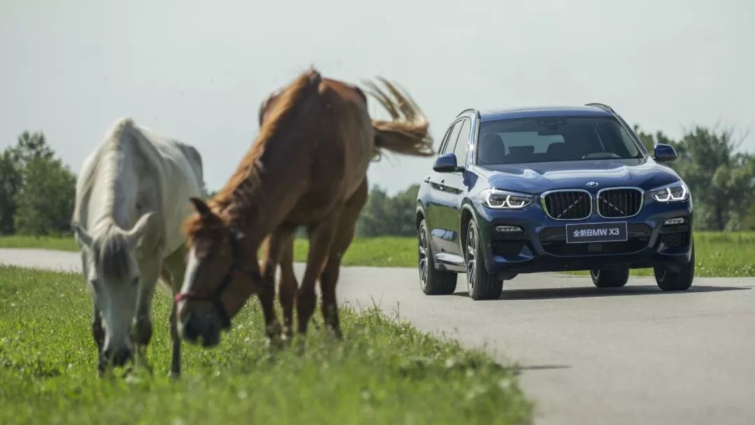 杩旈亾鑰岃鍏ㄦ柊bmwx3,鍏ㄦ柊bmwx3浼樼鍒拌浣犳寫涓嶅嚭姣涚梾