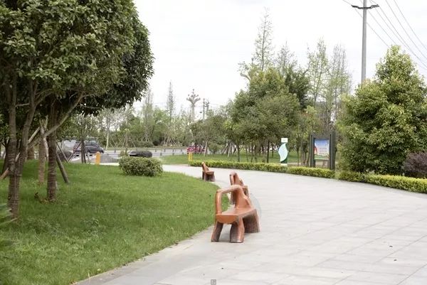 「翡翠之城」好消息！光华大道绿道投入使用，一路骑行到金马河喽！