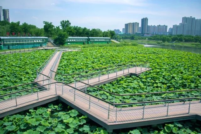 浐灞的优势,为什么叫浐灞