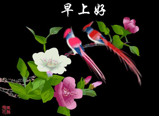 今天周末，哈哈，起床啦，早安！