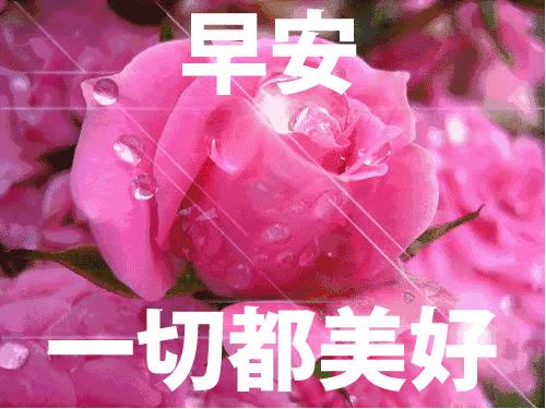 今天周末，哈哈，起床啦，早安！