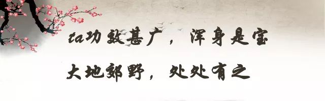 「百草园」那些“悬壶济世”的植物（六十四）蓟