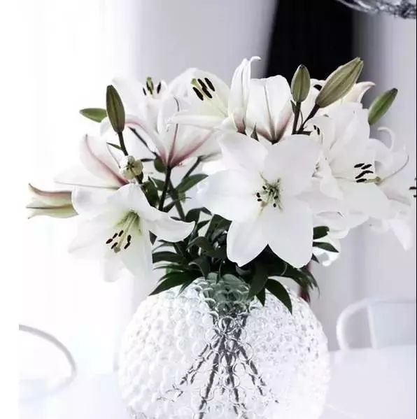 22年世界杯各国球衣,世界杯球衣颜色对照表