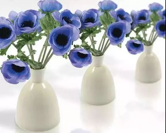 22年世界杯各国球衣,世界杯球衣颜色对照表