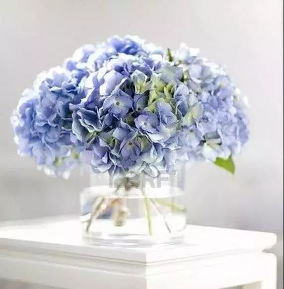 22年世界杯各国球衣,世界杯球衣颜色对照表