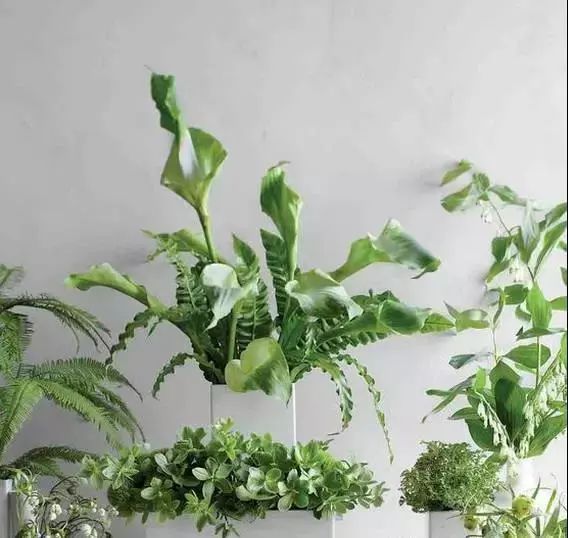 22年世界杯各国球衣,世界杯球衣颜色对照表