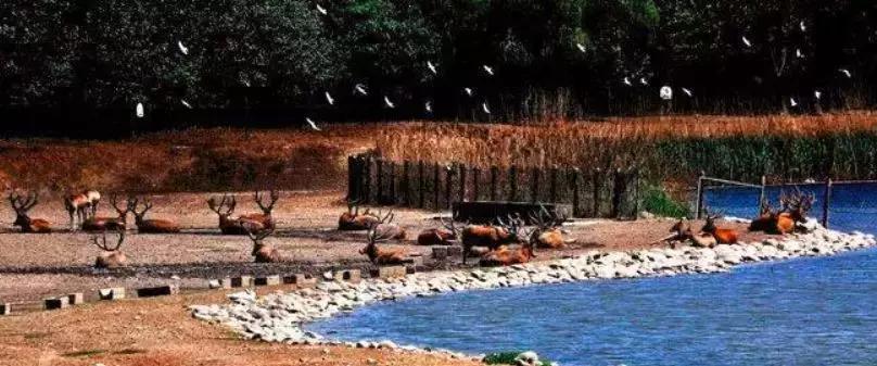 北京值得玩的景点推荐一下,北京旅游攻略免费景点推荐大全