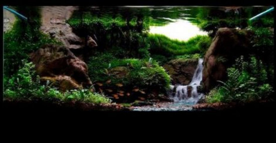 水草缸造景用什么石头,水草缸造景多少钱一套