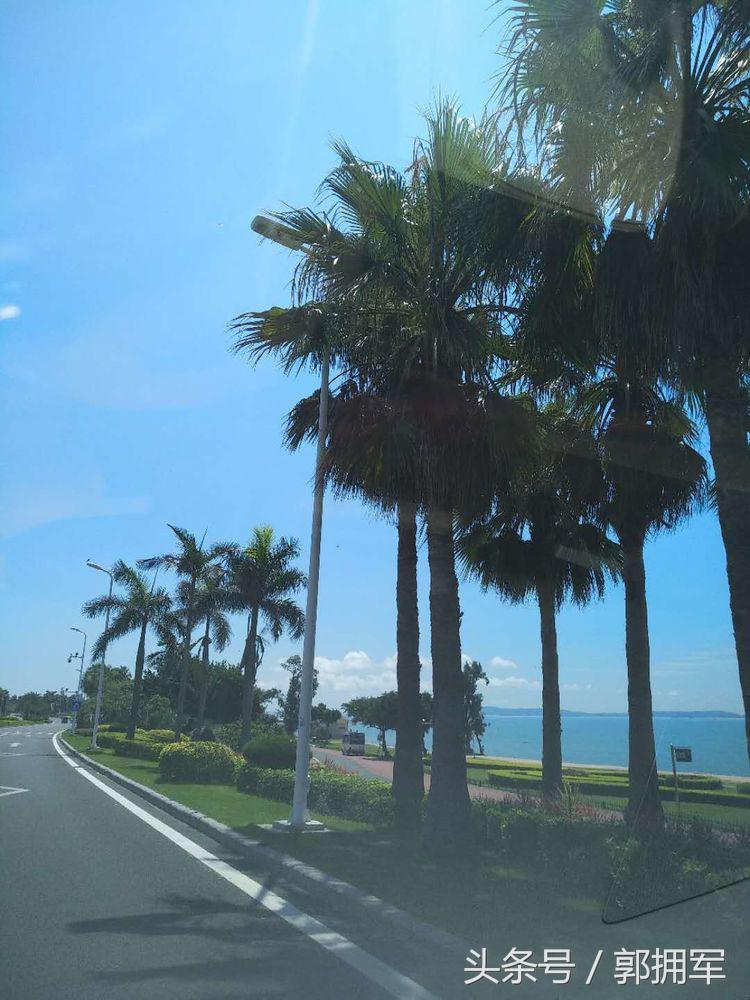 厦门哪里租海边别墅 (厦门短租海边别墅)