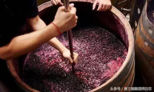 葡萄酿酒为什么变成酸的了,葡萄酿酒为什么浑浊