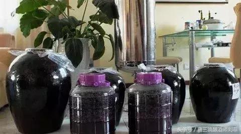 葡萄酿酒为什么变成酸的了,葡萄酿酒为什么浑浊