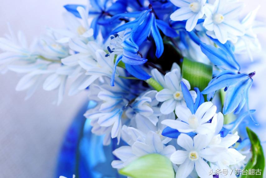 道德经怎么对待恶人,道德经怎么对待别人的议论