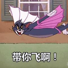 猫咪的铲屎官注意事项 (铲屎官最应该给猫咪的5种东西)