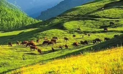 临夏万人游玩活动,济南万人游临夏