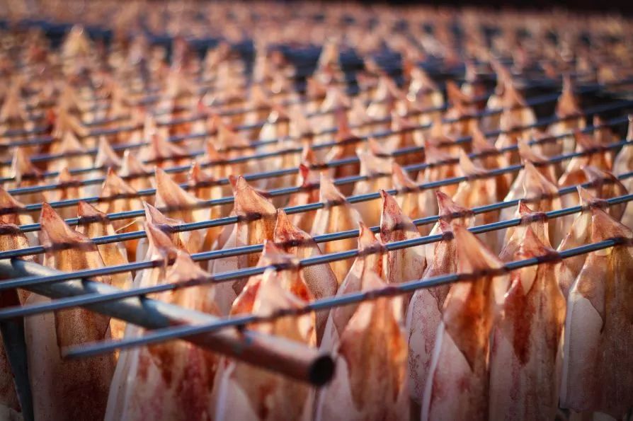 秒杀鼓浪屿，媲美玻利维亚！国内这个小岛凭什么C位出道？