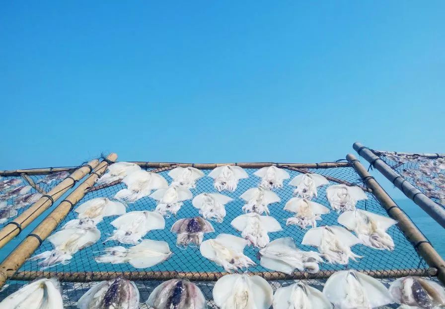 秒杀鼓浪屿，媲美玻利维亚！国内这个小岛凭什么C位出道？