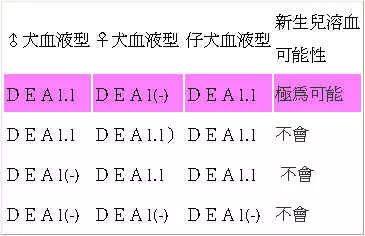 狗狗生病输液以后更加严重,狗狗生病输血