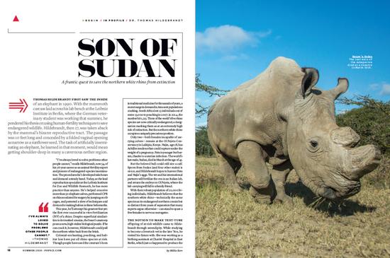 灭绝物种复活？首个试管犀牛南北杂交胚胎诞生！