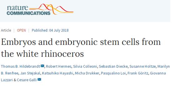 灭绝物种复活？首个试管犀牛南北杂交胚胎诞生！