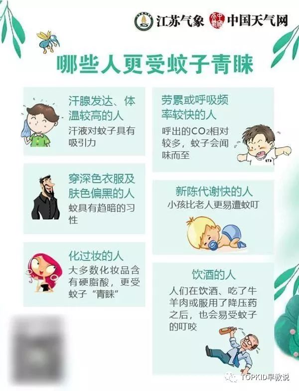 蚊子驱蚊小技巧有哪些,蚊子大军来袭如何给宝宝驱蚊防蚊