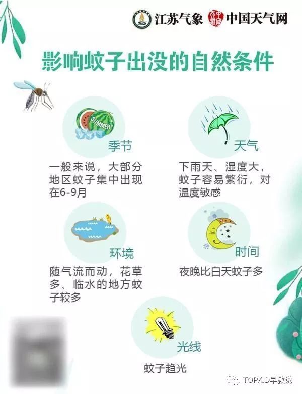 蚊子驱蚊小技巧有哪些,蚊子大军来袭如何给宝宝驱蚊防蚊