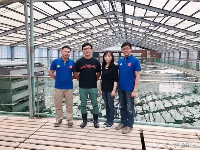 走访日本,日本的锦鲤池