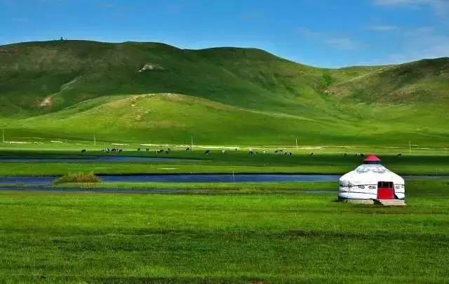 初夏的草原呼伦贝尔六日大环线 (呼伦贝尔草原边境自由行)