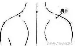 每天坚持拍打操10分钟,中老年二十八节穴位拍打操