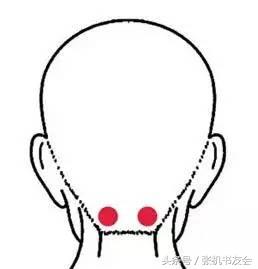 每天坚持拍打操10分钟,中老年二十八节穴位拍打操