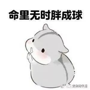 一首凉凉送给初三的学生,一曲凉凉完整版