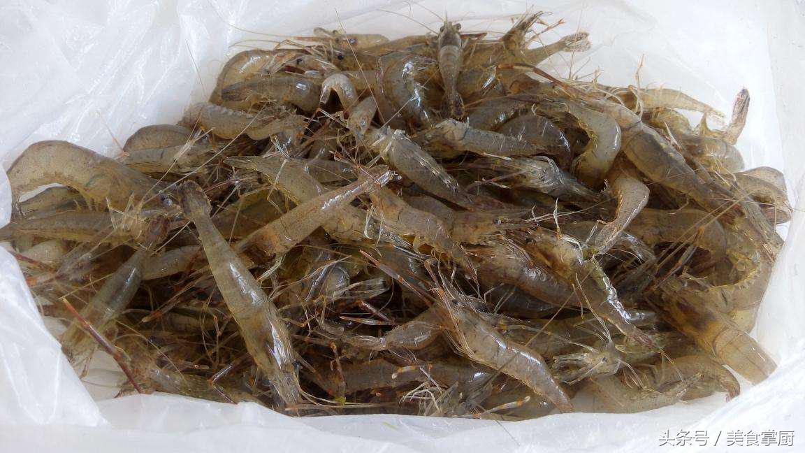 小河虾补虚通乳,吃中药可以吃小河虾