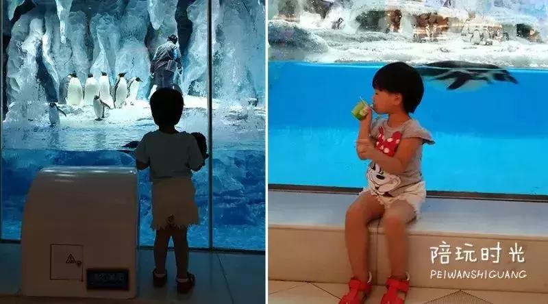 长隆攻略亲子游三天预算,五一带娃游长隆